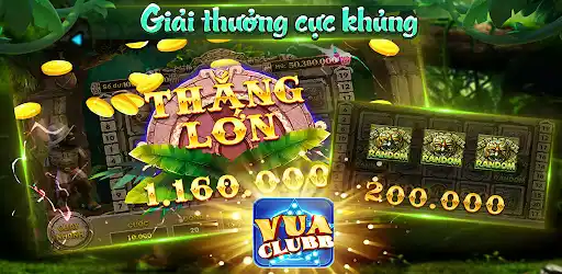 Vn 789c599205